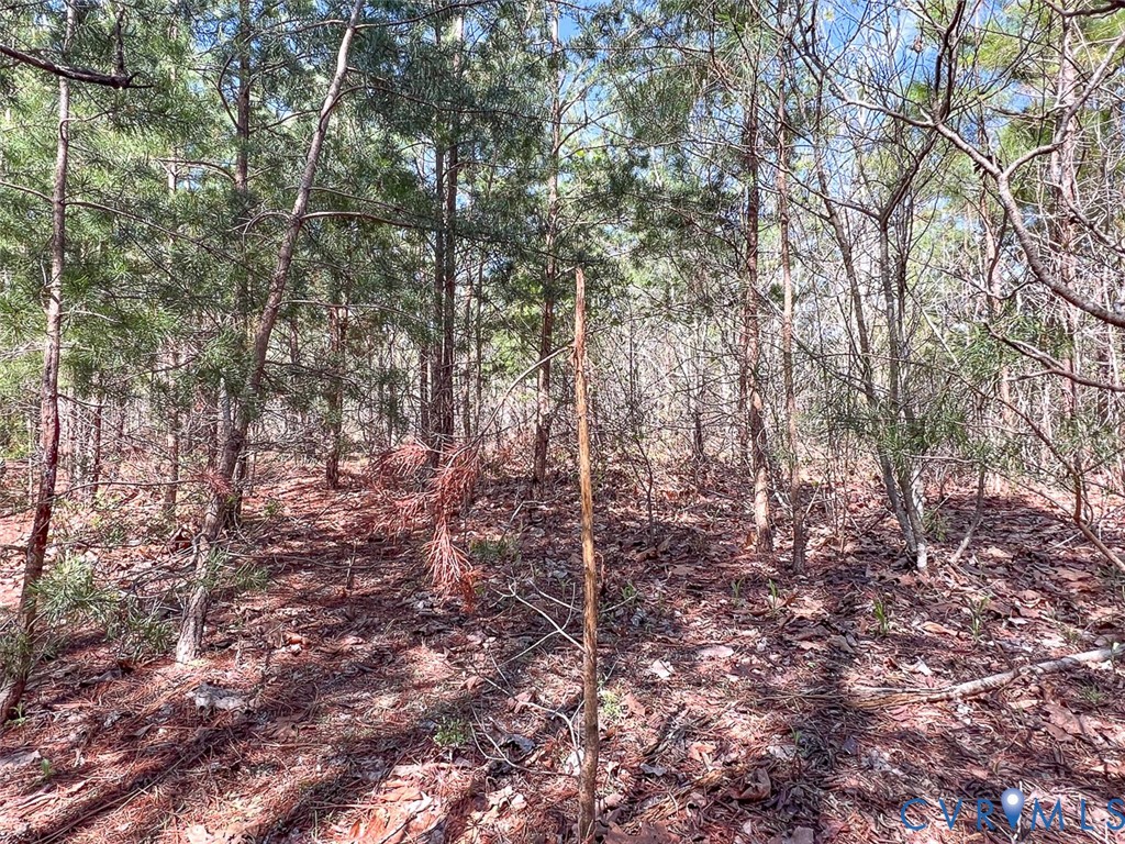 116.32-acres Gilliam Mill Road Dillwyn, VA 23936 - Photo 21 of 50