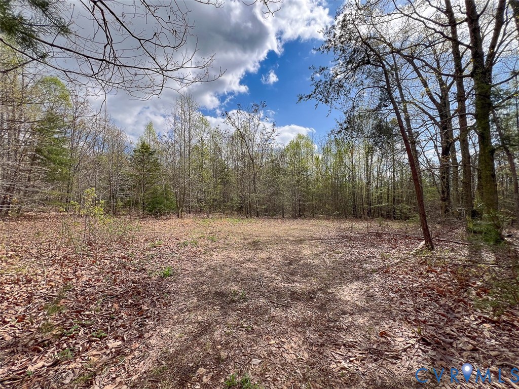 116.32-acres Gilliam Mill Road Dillwyn, VA 23936 - Photo 24 of 50