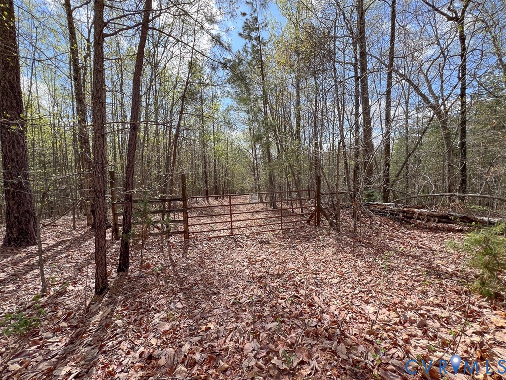 116.32-acres Gilliam Mill Road Dillwyn, VA 23936 - Photo 25 of 50