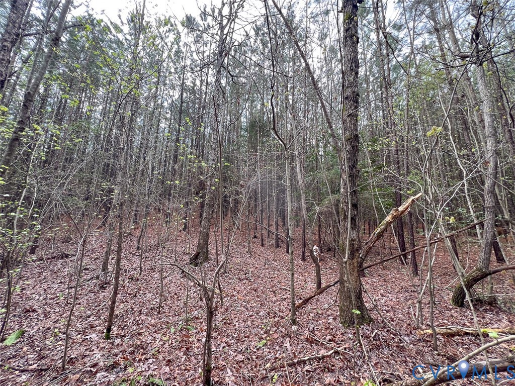 116.32-acres Gilliam Mill Road Dillwyn, VA 23936 - Photo 27 of 50