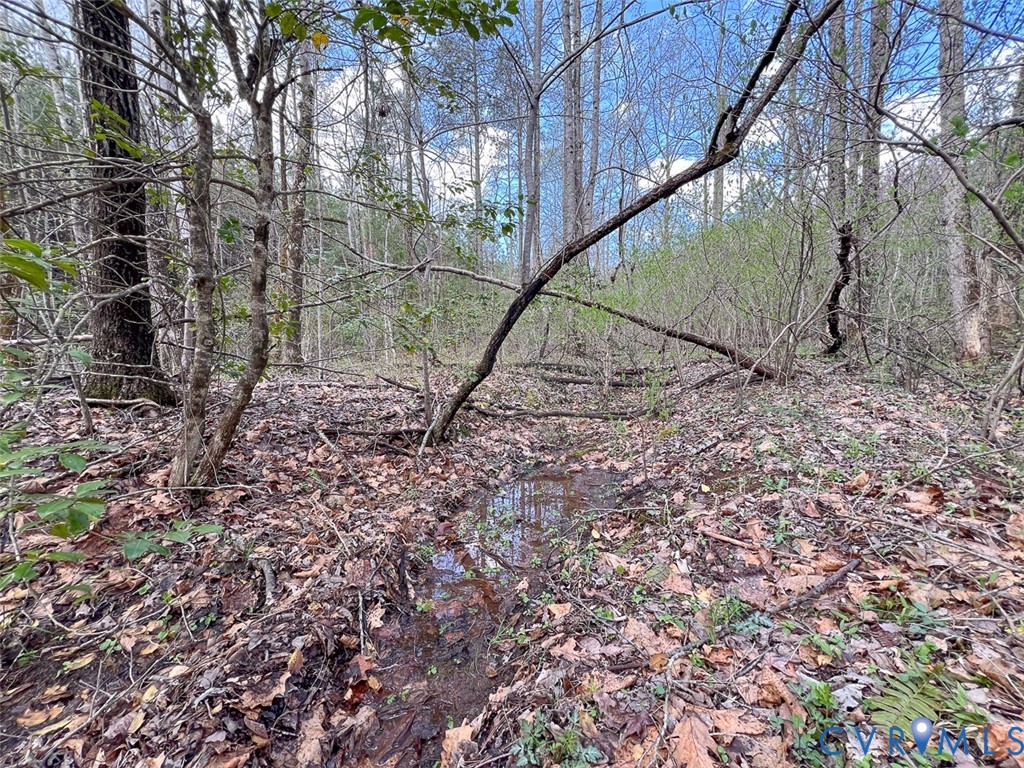 116.32-acres Gilliam Mill Road Dillwyn, VA 23936 - Photo 28 of 50