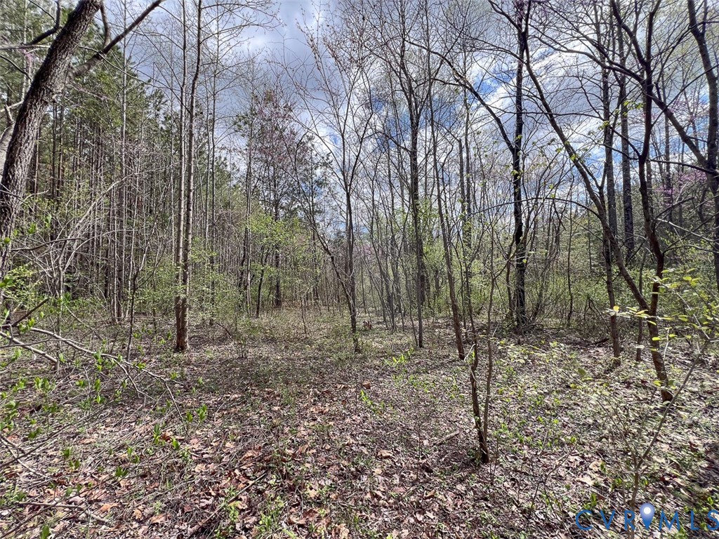 116.32-acres Gilliam Mill Road Dillwyn, VA 23936 - Photo 30 of 50