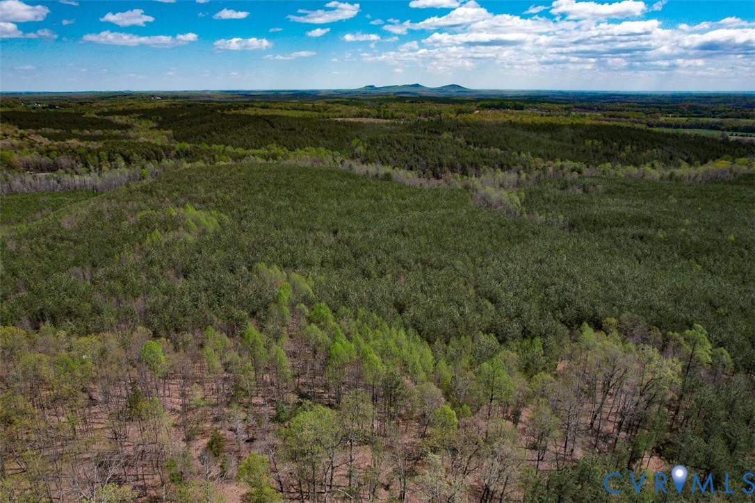 116.32-acres Gilliam Mill Road Dillwyn, VA 23936 - Photo 31 of 50