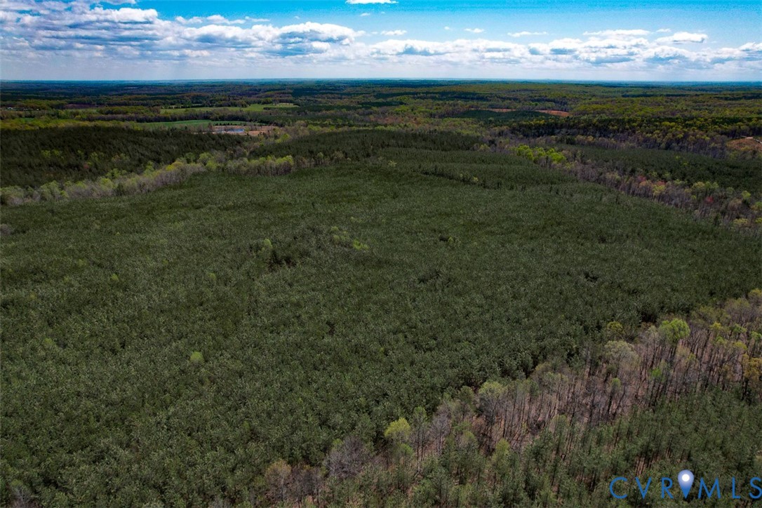 116.32-acres Gilliam Mill Road Dillwyn, VA 23936 - Photo 33 of 50