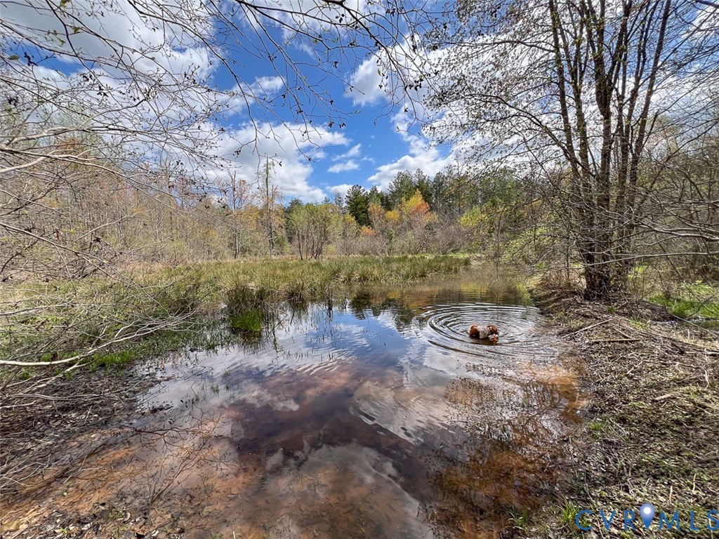 116.32-acres Gilliam Mill Road Dillwyn, VA 23936 - Photo 37 of 50
