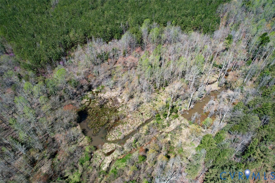 116.32-acres Gilliam Mill Road Dillwyn, VA 23936 - Photo 40 of 50
