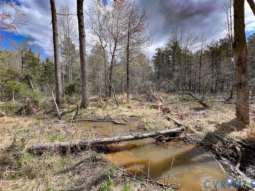 116.32-acres Gilliam Mill Road Dillwyn, VA 23936 - Photo 4 of 50
