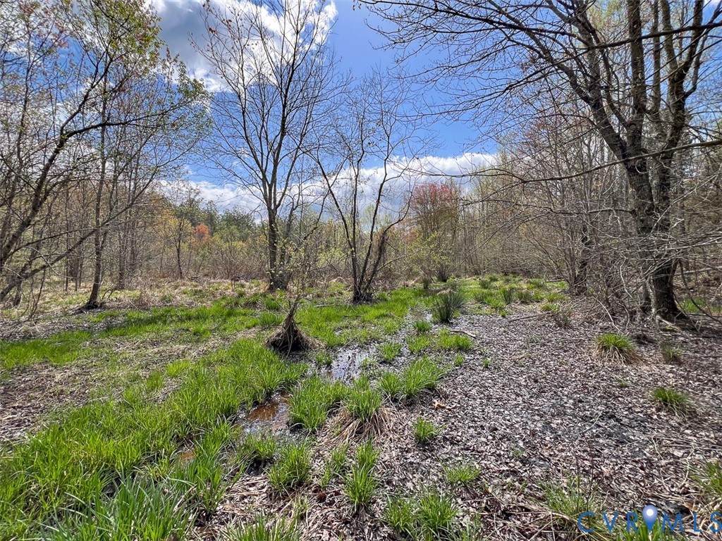 116.32-acres Gilliam Mill Road Dillwyn, VA 23936 - Photo 41 of 50