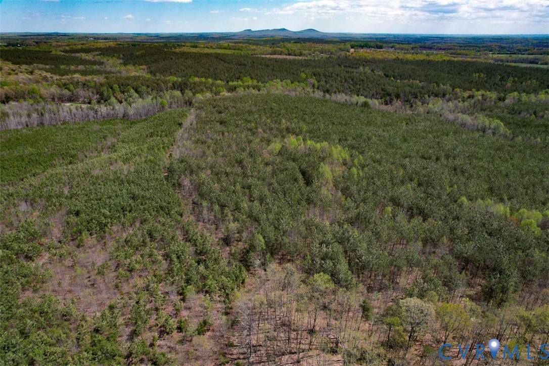 116.32-acres Gilliam Mill Road Dillwyn, VA 23936 - Photo 43 of 50