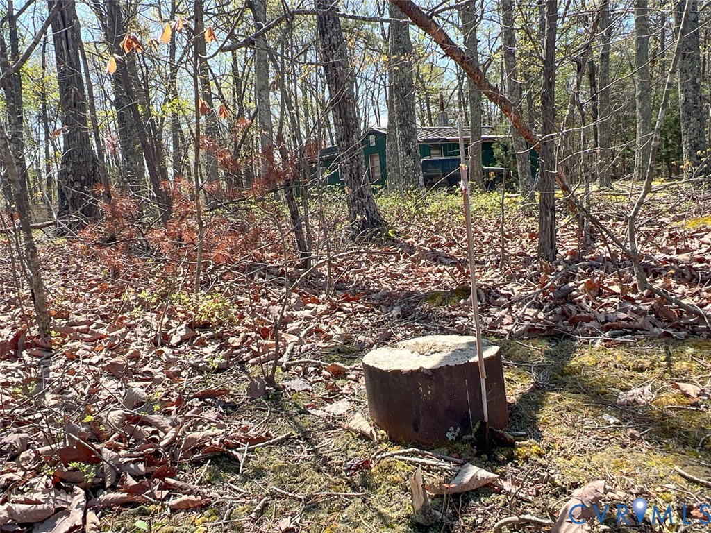 116.32-acres Gilliam Mill Road Dillwyn, VA 23936 - Photo 46 of 50