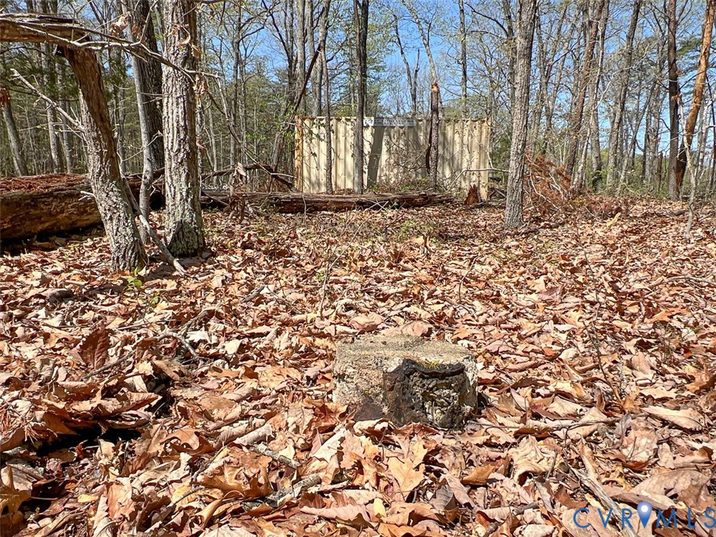 116.32-acres Gilliam Mill Road Dillwyn, VA 23936 - Photo 47 of 50