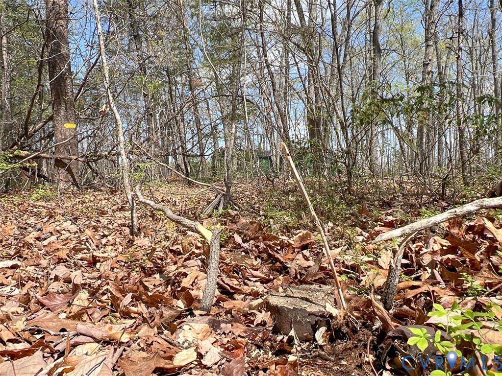 116.32-acres Gilliam Mill Road Dillwyn, VA 23936 - Photo 48 of 50