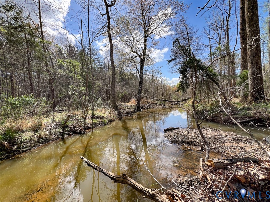 116.32-acres Gilliam Mill Road Dillwyn, VA 23936 - Photo 5 of 50