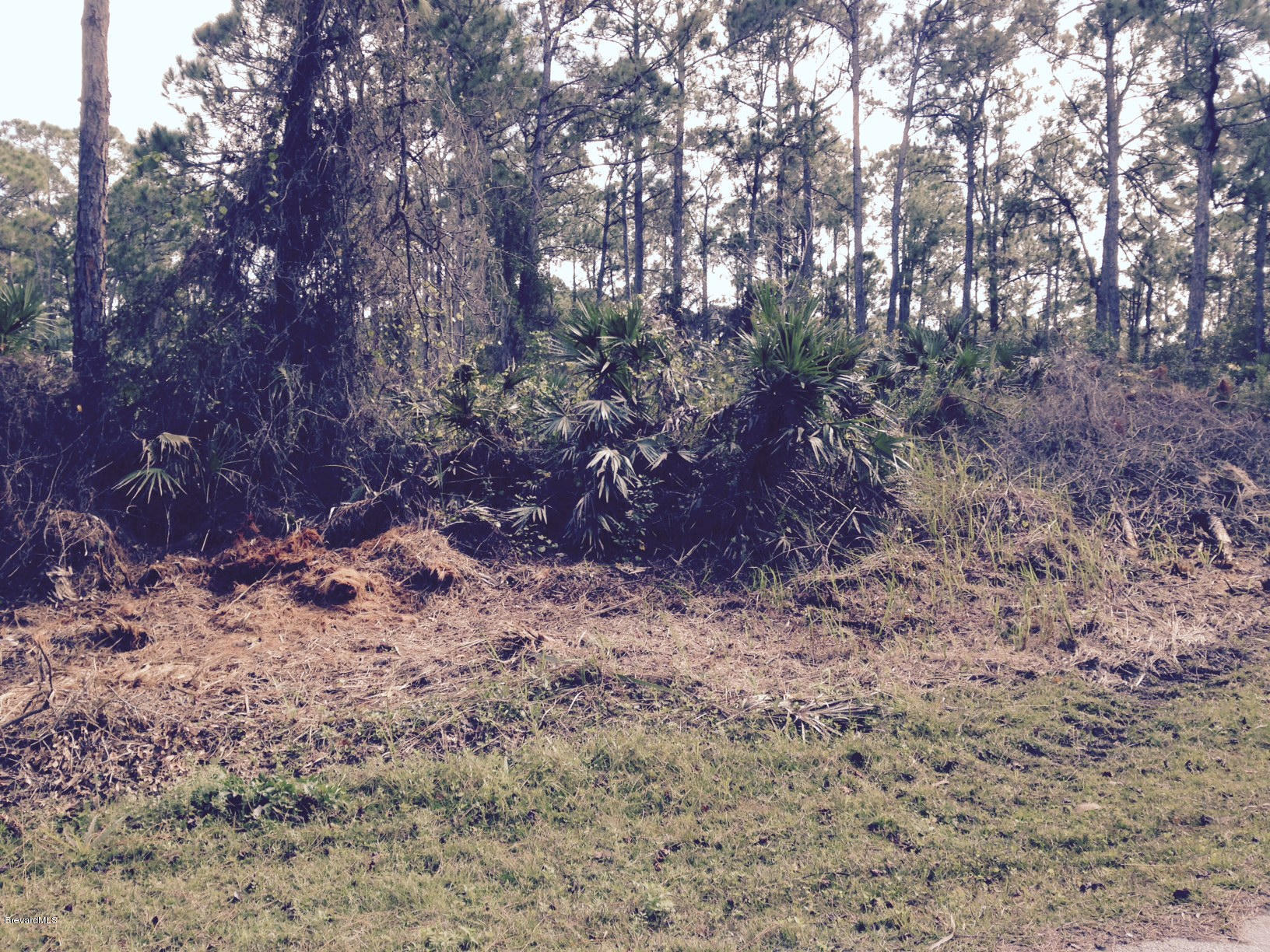 551 Southwest Toynbee Road Palm Bay, FL 32908 - Photo 1 of 2
