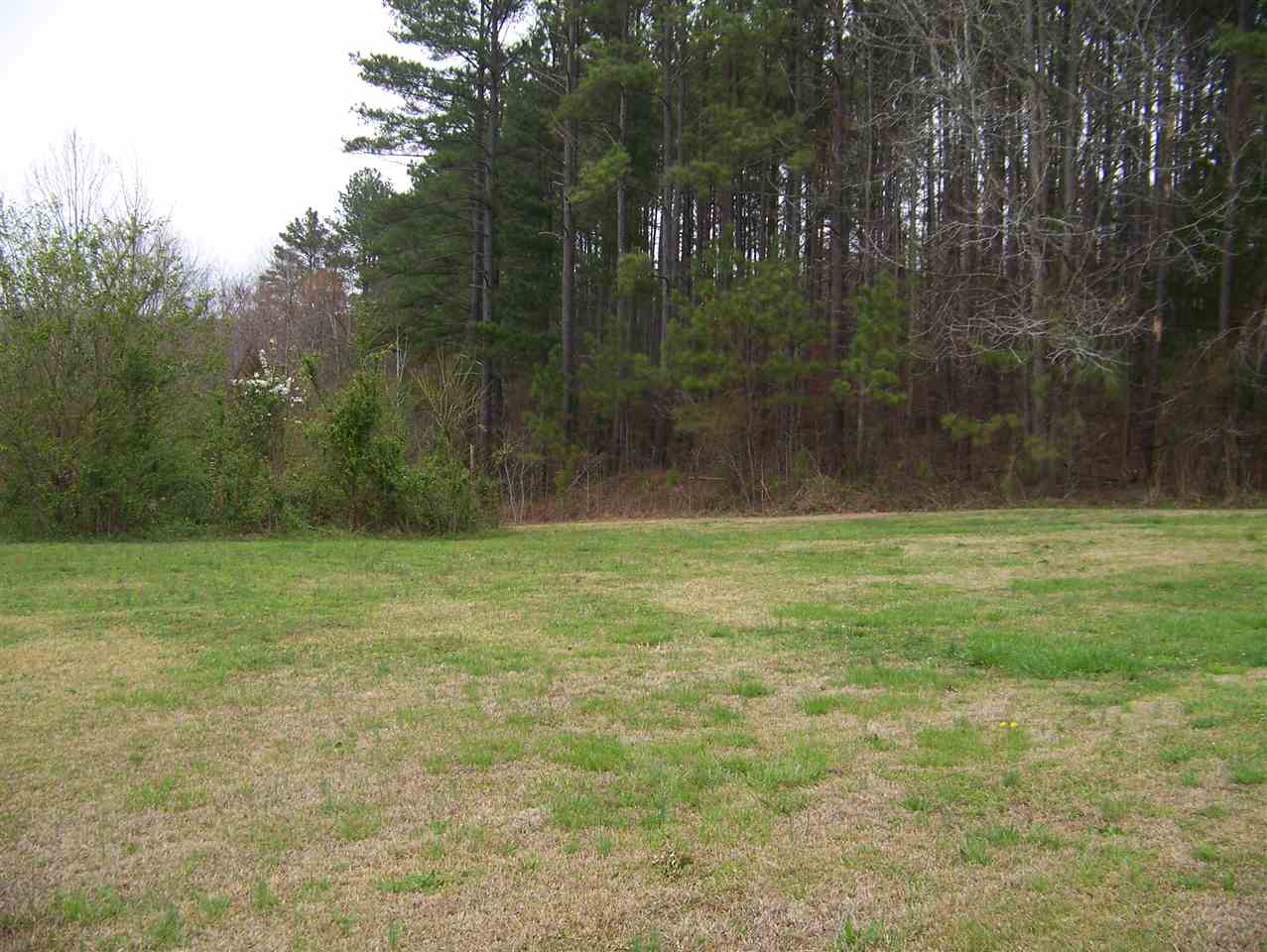 214 Lake Tree Road Gaffney, SC 29340 - Photo 4 of 11