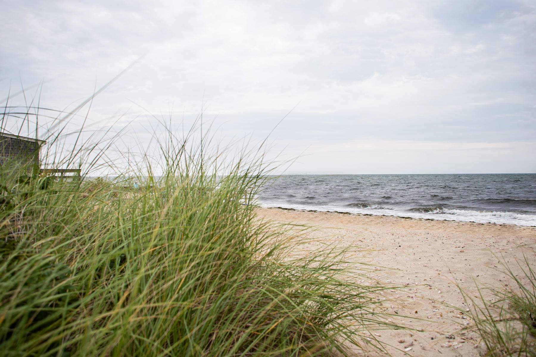 73 Uncle Rolf Road Dennis Port, MA 02639 - Photo 21 of 23 a view of an ocean