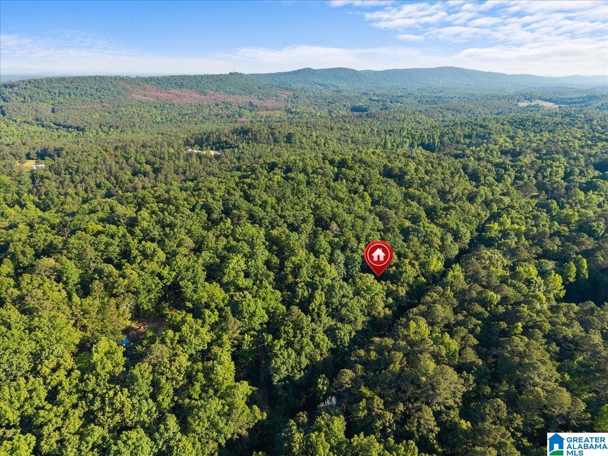 426 Oak Ridge Road Odenville, AL 35120 - Photo 26 of 27