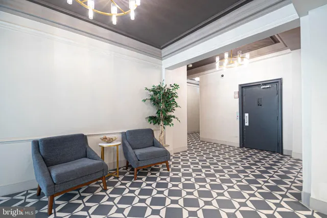 a living room with a couch and a potted plant