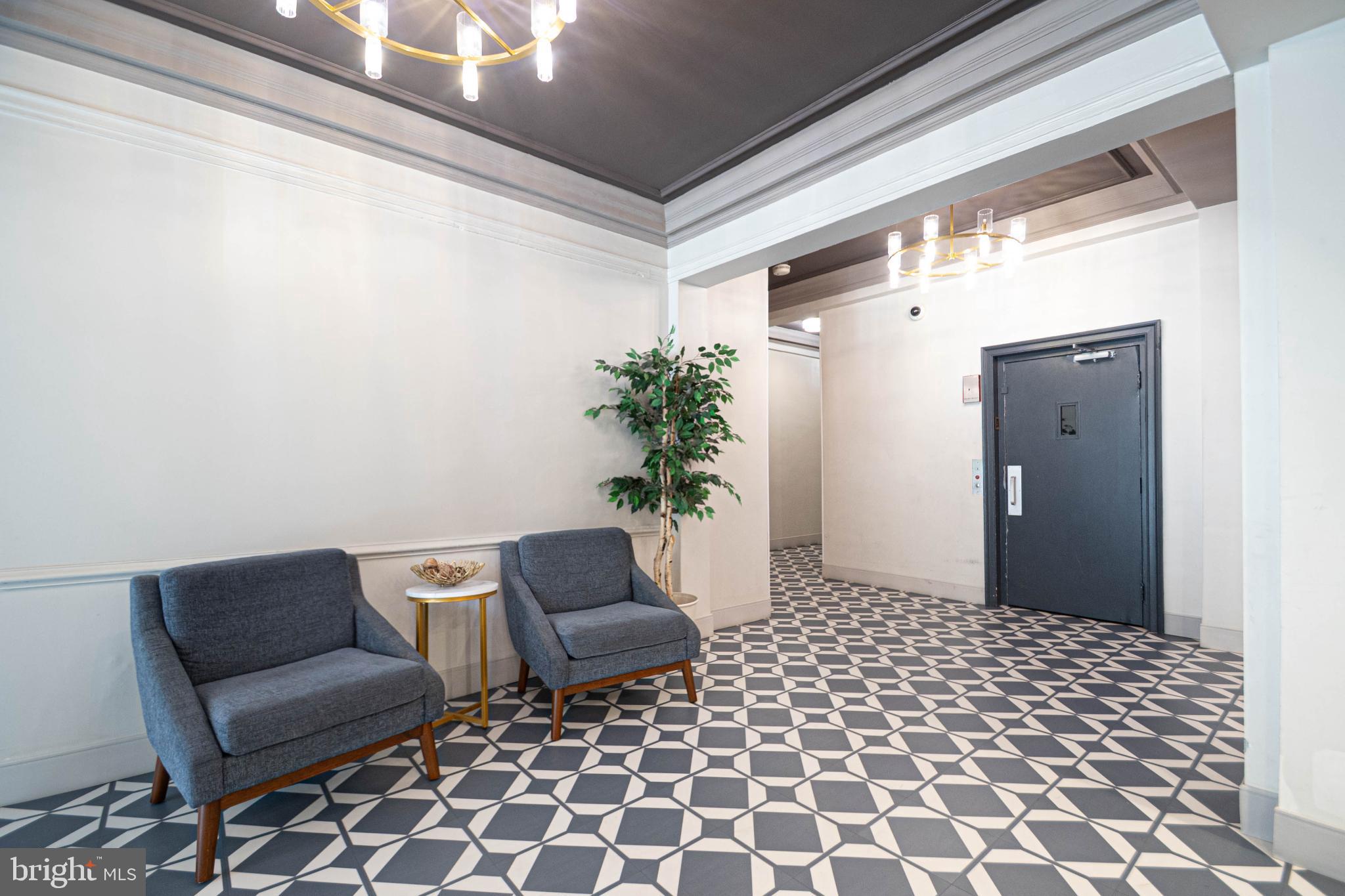 1669 Columbia Road Northwest, Unit 109 Washington, DC 20009 - Photo 5 of 35 a living room with a couch and a potted plant