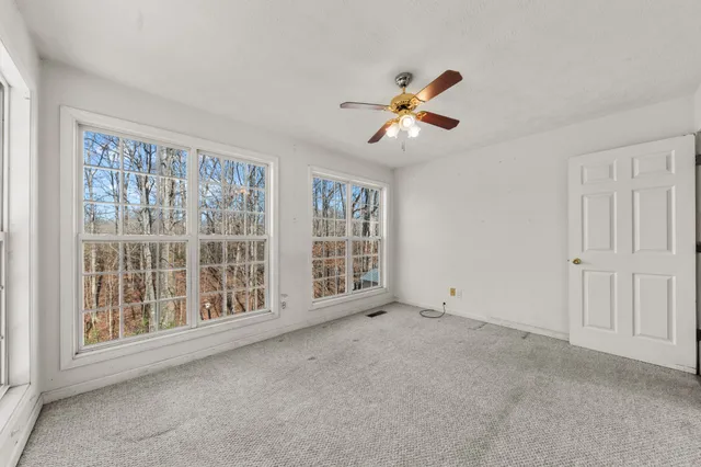 a view of a yard with trees