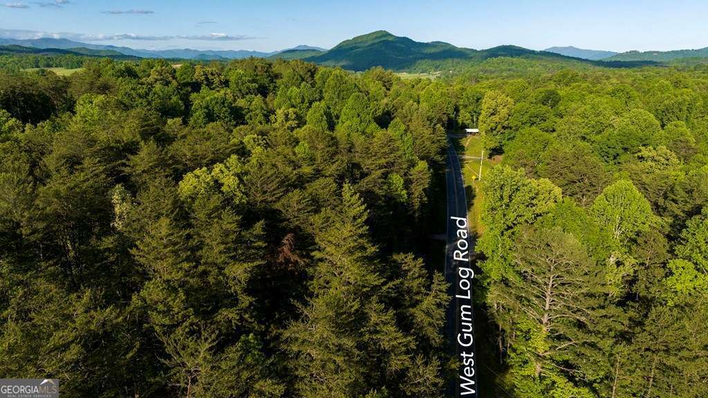 1 West Gum Log Road Warne, NC 28909 - Photo 15 of 26