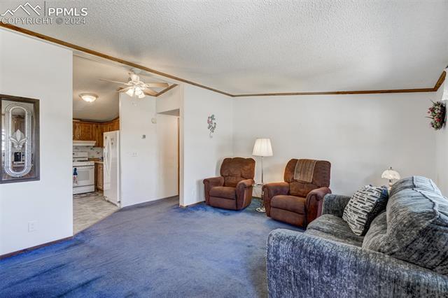 5845 Peerless Farms Road Peyton, CO 80831 - Photo 12 of 50 Living room featuring crown molding, a textured ceiling, ceiling fan, and carpet