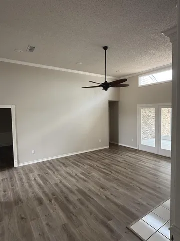 a view of a garden with a pathway