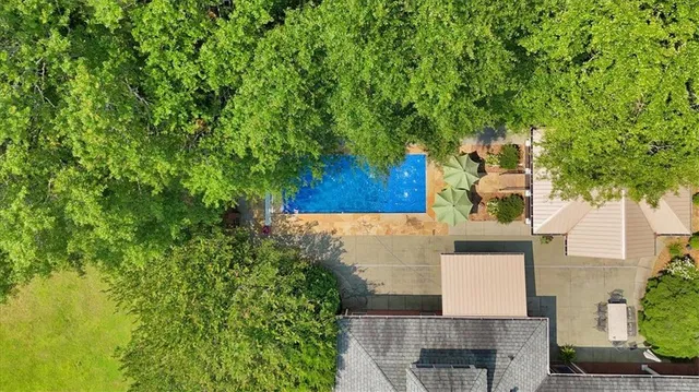 a view of a swimming pool with a bench and trees