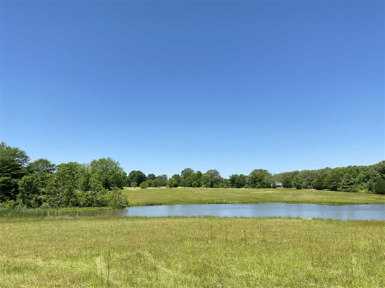 0 Cinnamon Ridge Drive, Unit MULTIPLE Raymond, MS 39154 - Photo 3 of 15 Photo 3