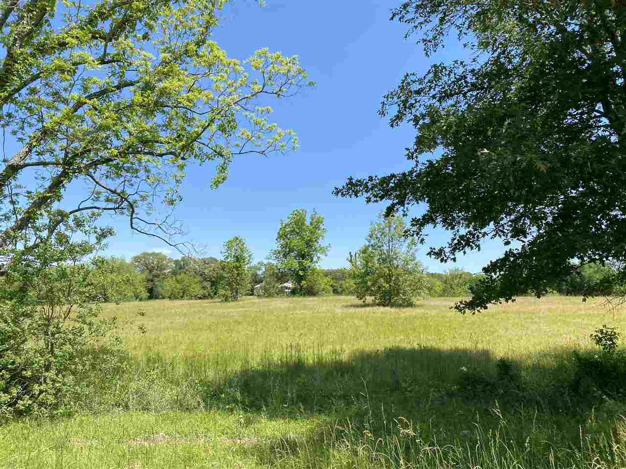 0 Cinnamon Ridge Drive, Unit MULTIPLE Raymond, MS 39154 - Photo 5 of 15 Photo 5