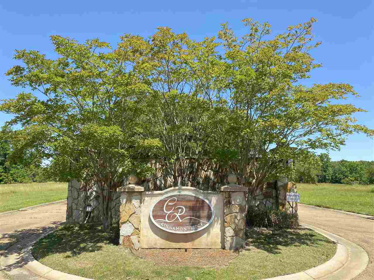 0 Cinnamon Ridge Drive, Unit MULTIPLE Raymond, MS 39154 - Photo 8 of 15 Photo 8