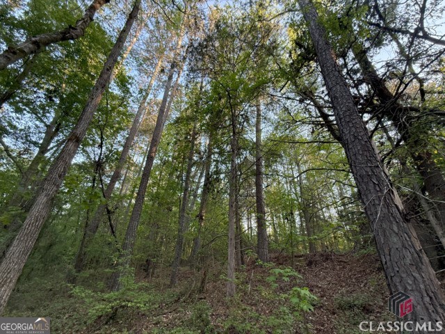 0 Moore Road Elberton, GA 30635 - Photo 54 of 67