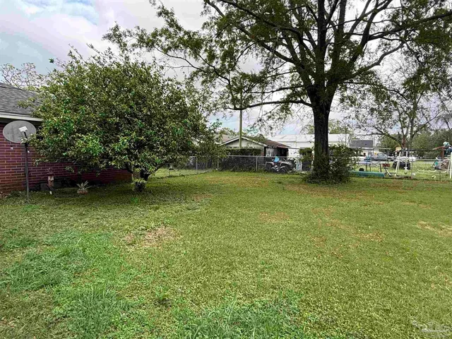 a view of a tree next to a yard