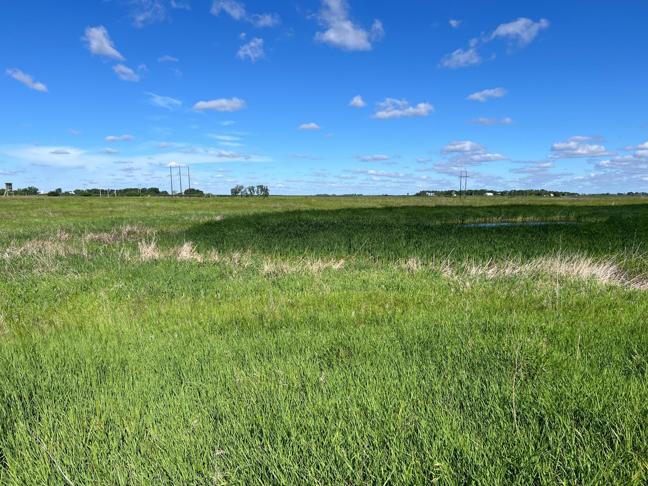 Tbd Southeast Tbd Se 90th Street Rutland, ND 58067 - Photo 54 of 105