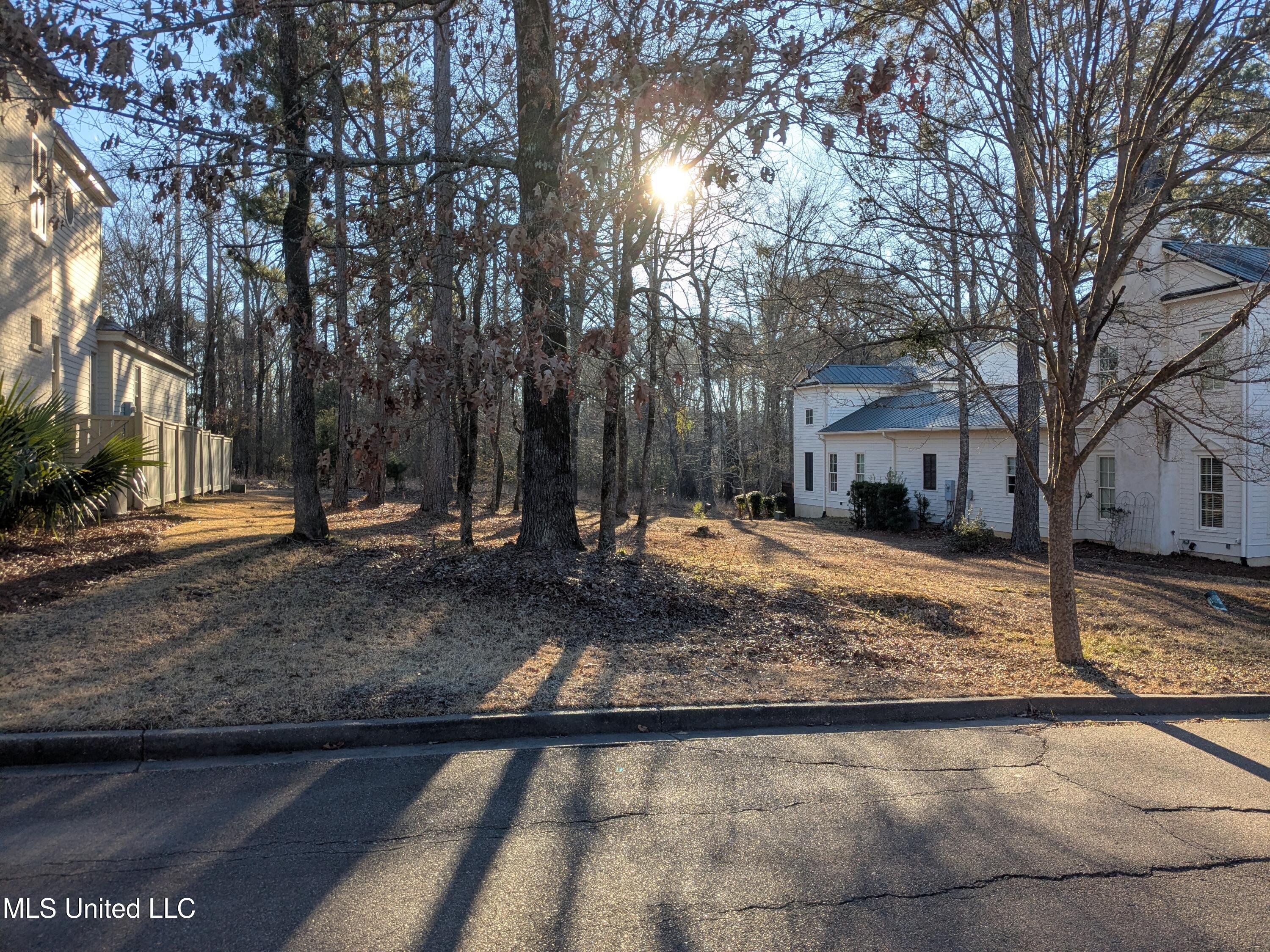 121 Azalea Street Madison, MS 39110 - Photo 3 of 5 1000005772