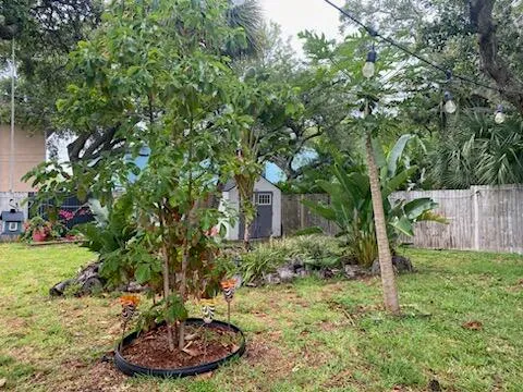 $3,000 | 286 South Orlando Avenue, Cocoa Beach, FL 32931