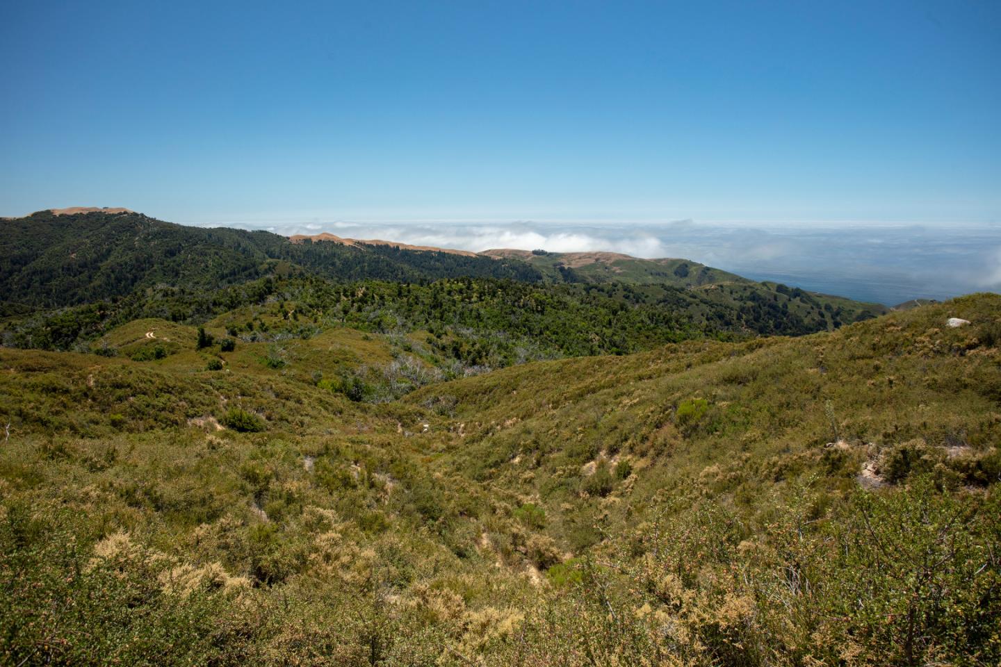 38805 Palo Colorado Road Carmel, CA 93923 - Photo 4 of 10 a view of mountains and valleys