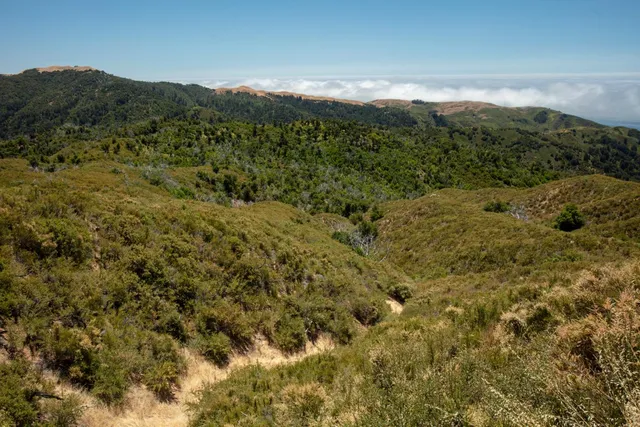 a view of a mountain in the distance in a field