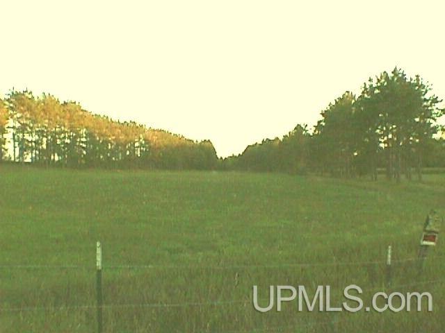 Tbd Ball Road Norway, MI 49870 - Photo 6 of 9