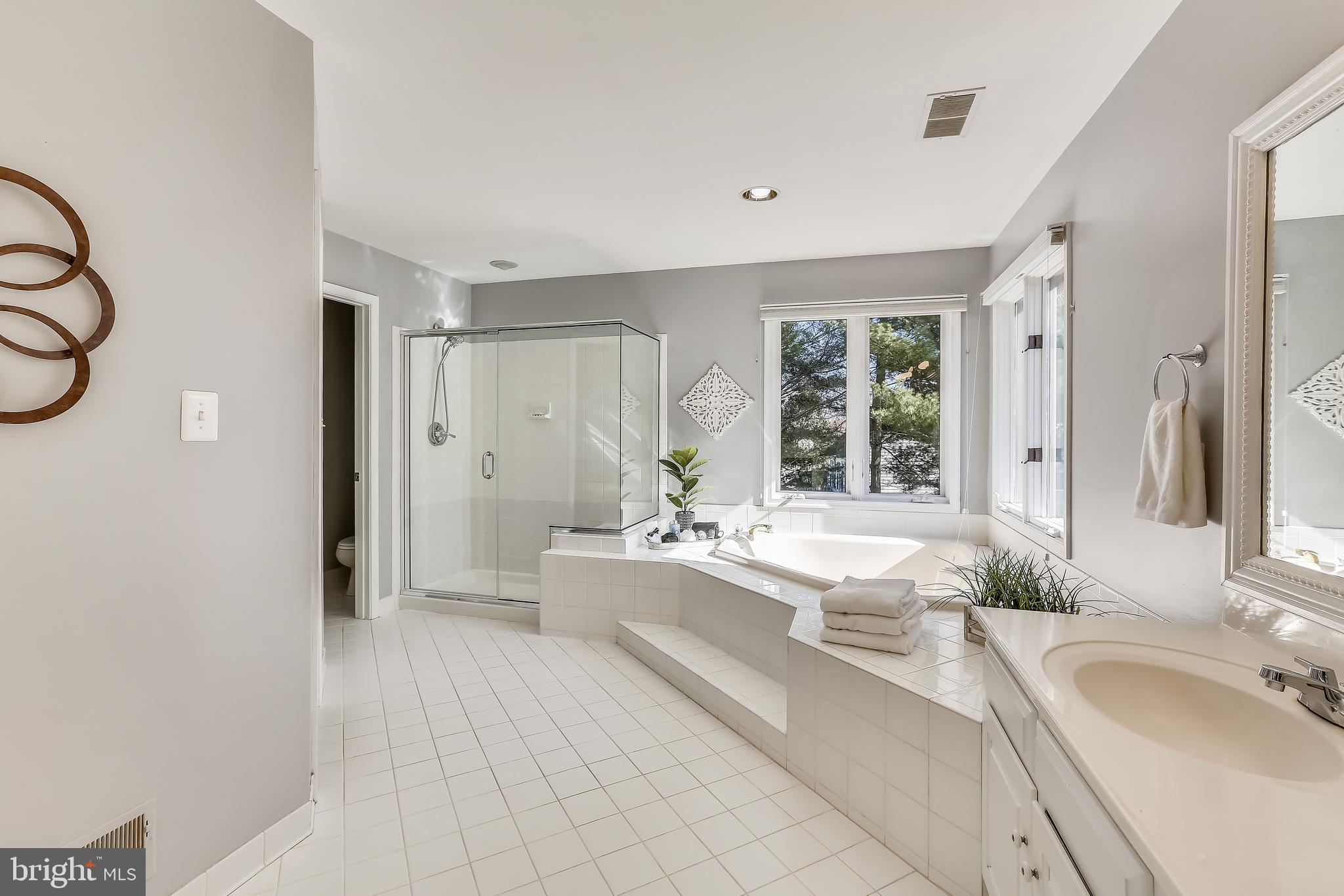 22406 Sweetleaf Lane Gaithersburg, MD 20882 - Photo 32 of 60 Primary Bath with Soaking Tub and Separate Shower