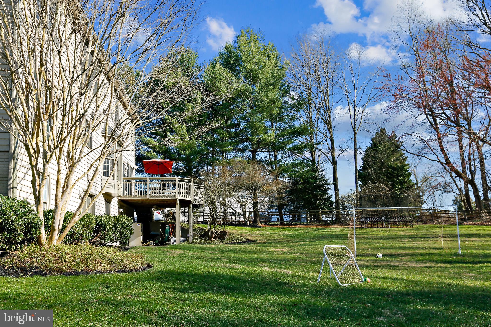 22406 Sweetleaf Lane Gaithersburg, MD 20882 - Photo 56 of 60 Large, Beautiful, Landscaped Yard!