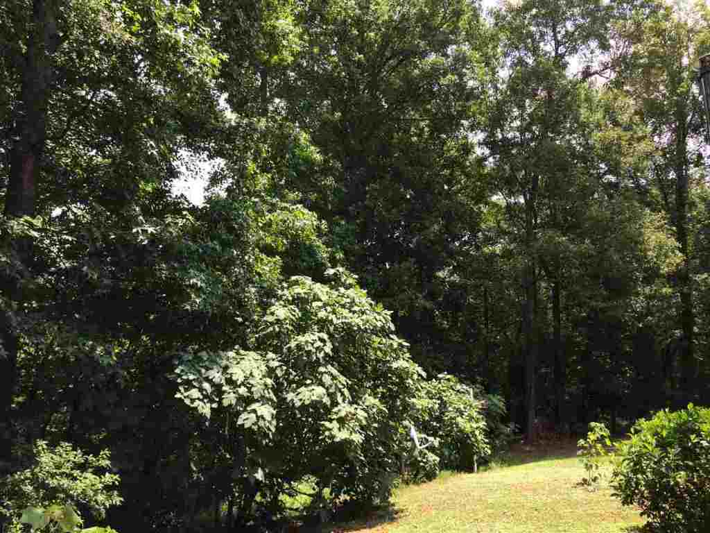 1144 Whiten Road Belton, SC 29627 - Photo 13 of 32