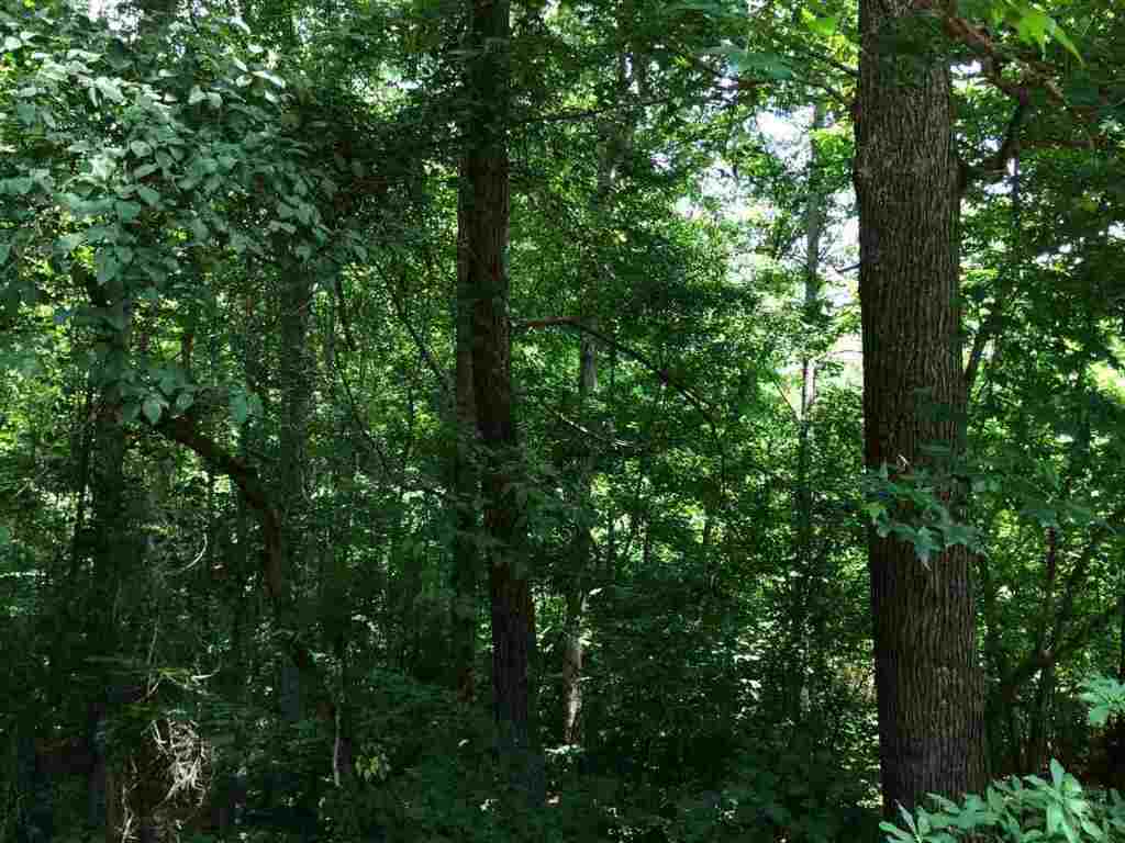 1144 Whiten Road Belton, SC 29627 - Photo 16 of 32