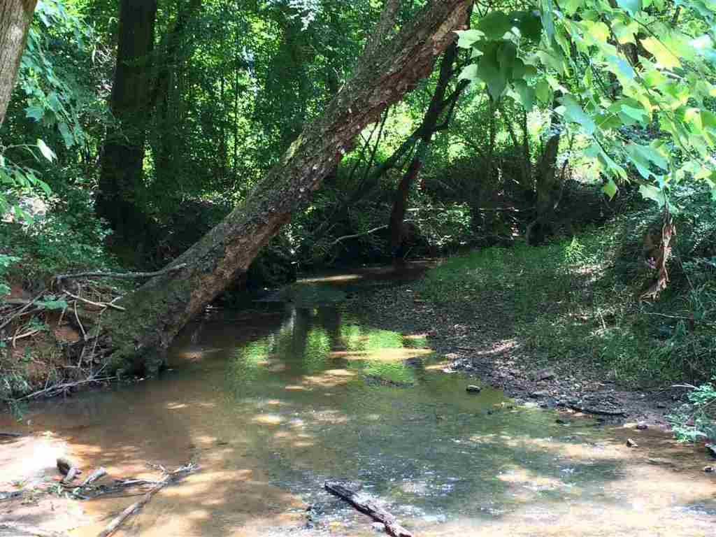 1144 Whiten Road Belton, SC 29627 - Photo 8 of 32