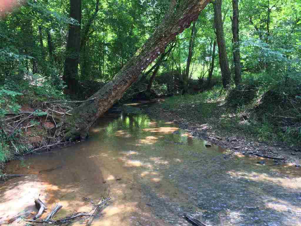 1144 Whiten Road Belton, SC 29627 - Photo 10 of 32