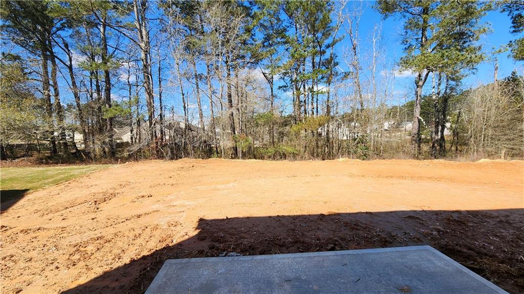 92 Silverleaf Trail Bethlehem, GA 30620 - Photo 34 of 47