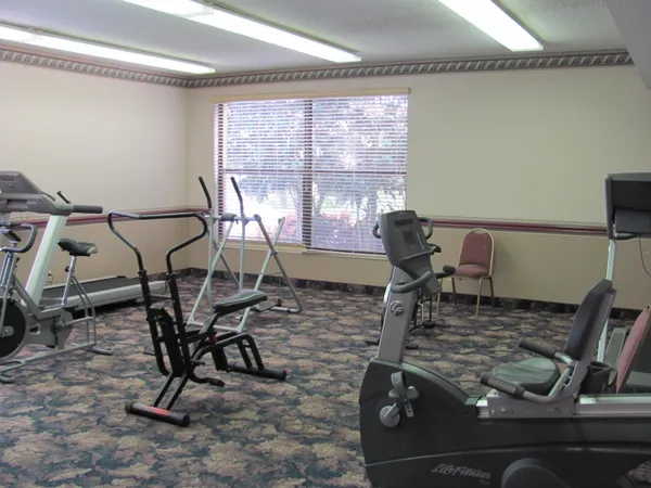a room with musical instruments