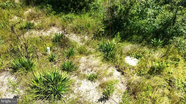 a view of a yard and mountain