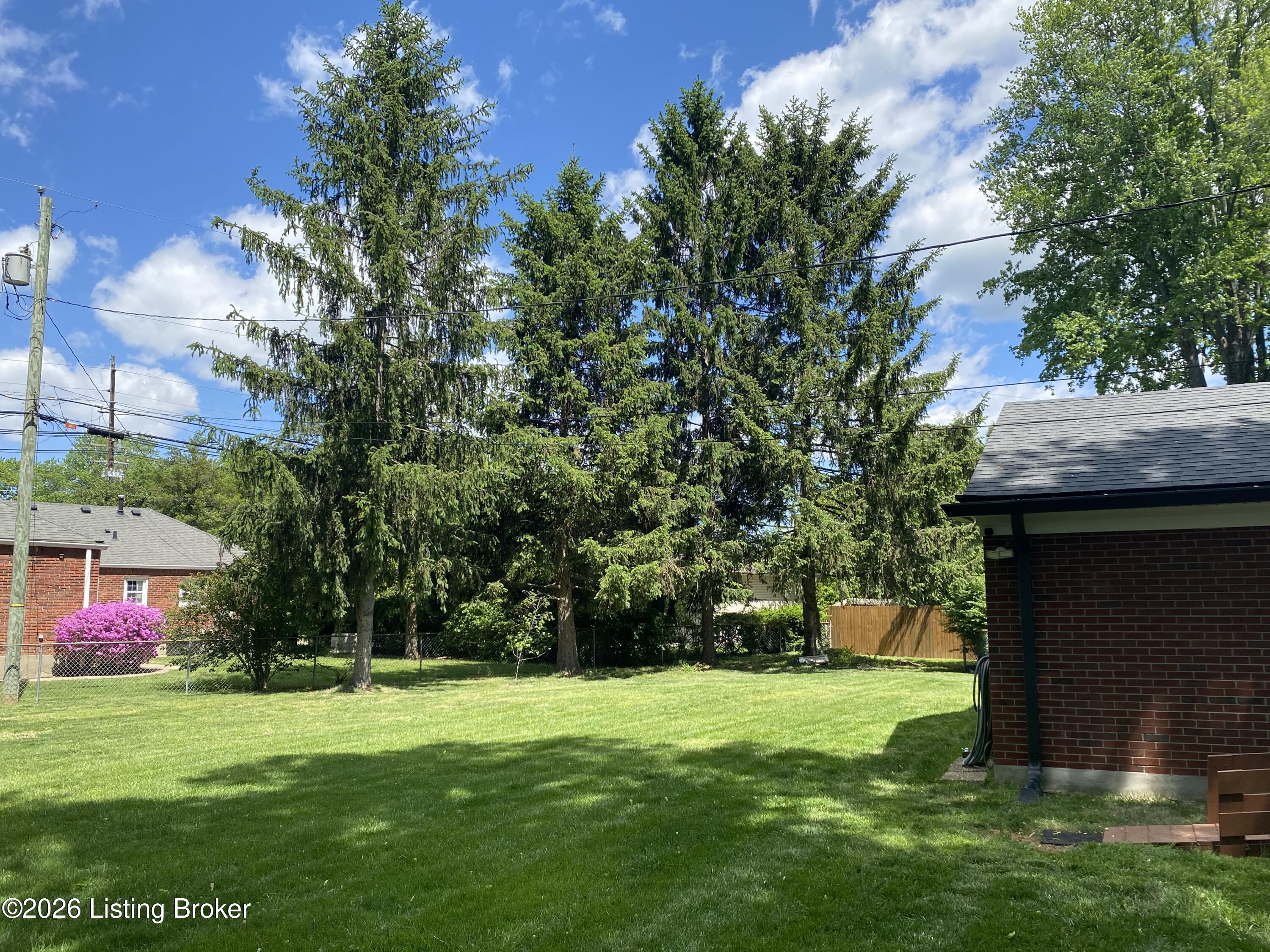 736 Wicklow Road Louisville, KY 40207 - Photo 52 of 59 IMG_2723