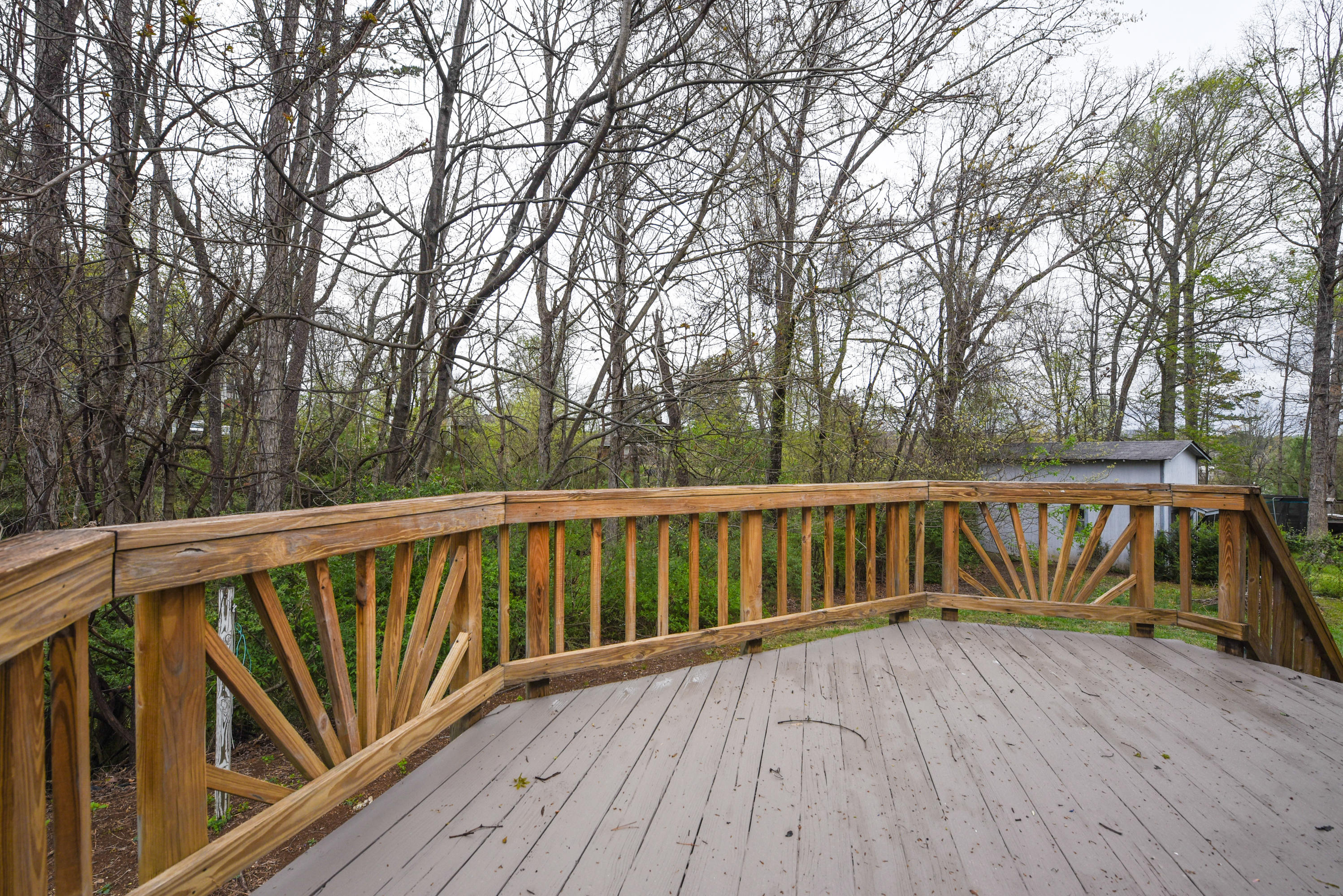 4427 Damas Road Knoxville, TN 37921 - Photo 22 of 23 4427 Damas Rd-22